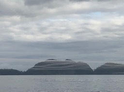 IMG_3788