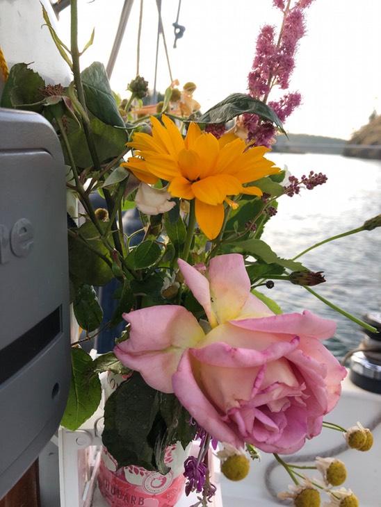 More roses on Board
