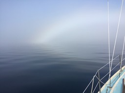  Peace in a Fog Bow
