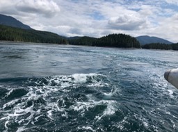 The Passage has Currents like us all